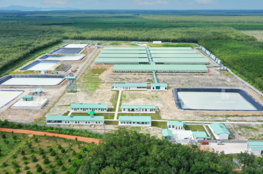 北安庆高科技畜牧场