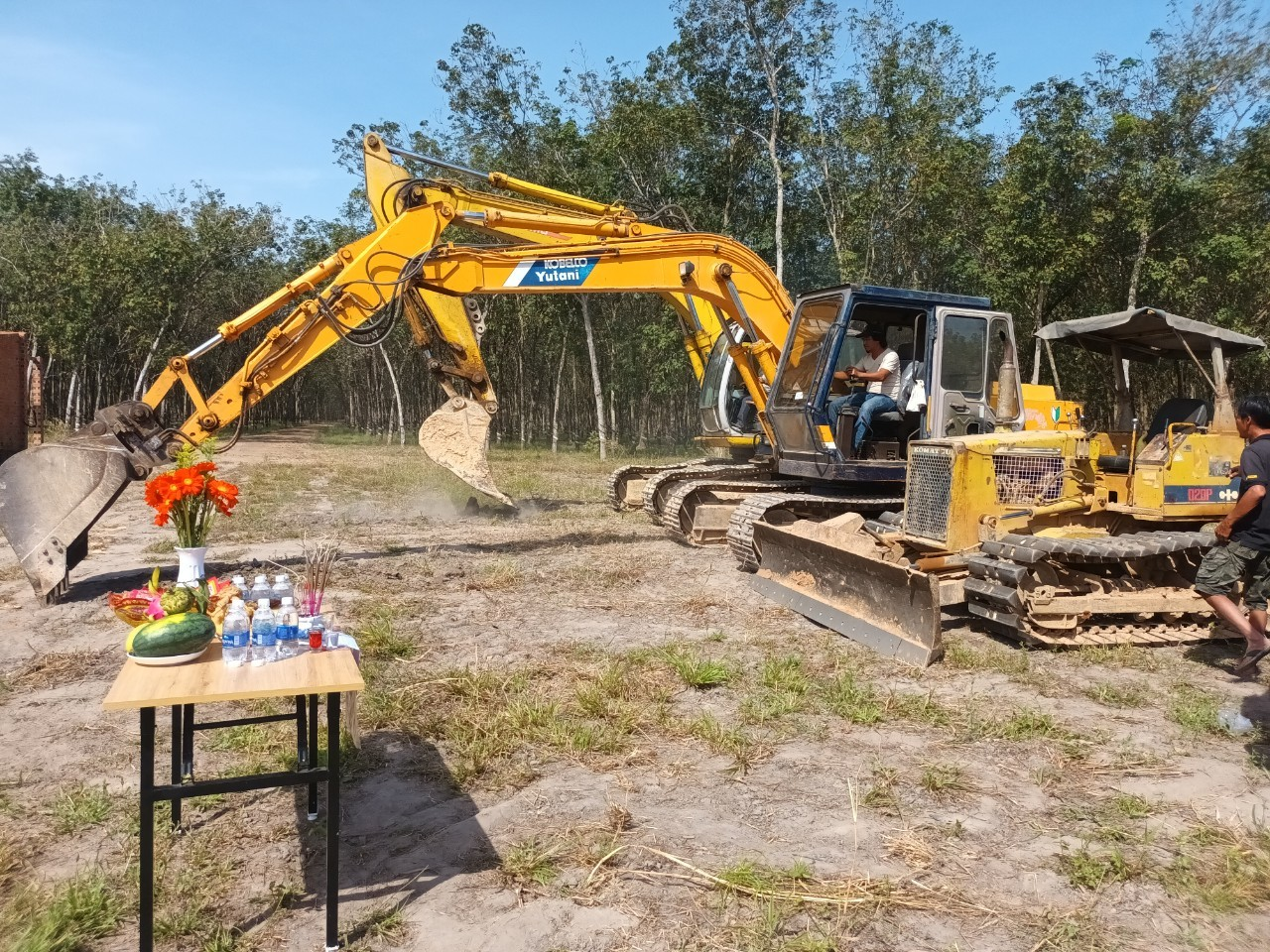 场地平整和准备