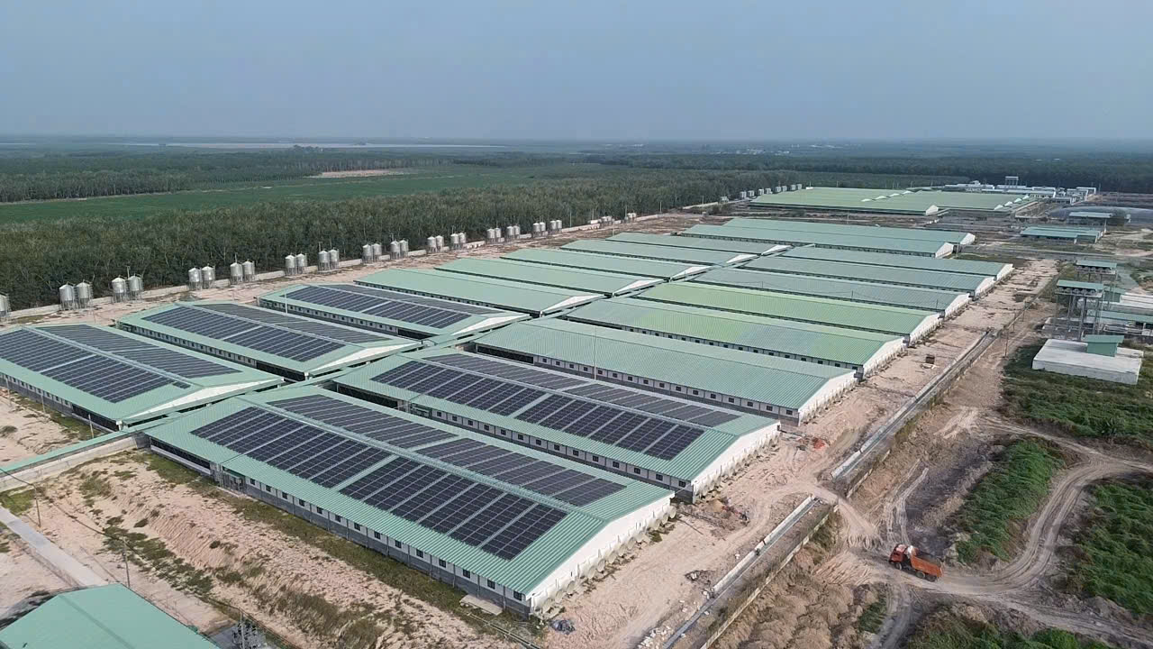 海当农场安装除臭系统。