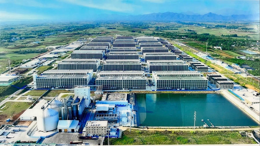 BAF的“养猪公寓楼”项目获得投资批准。