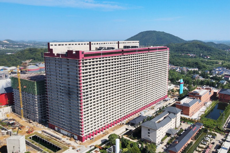 建议在西宁省实施一项价值 12 万亿越南盾的“养猪公寓”模式。