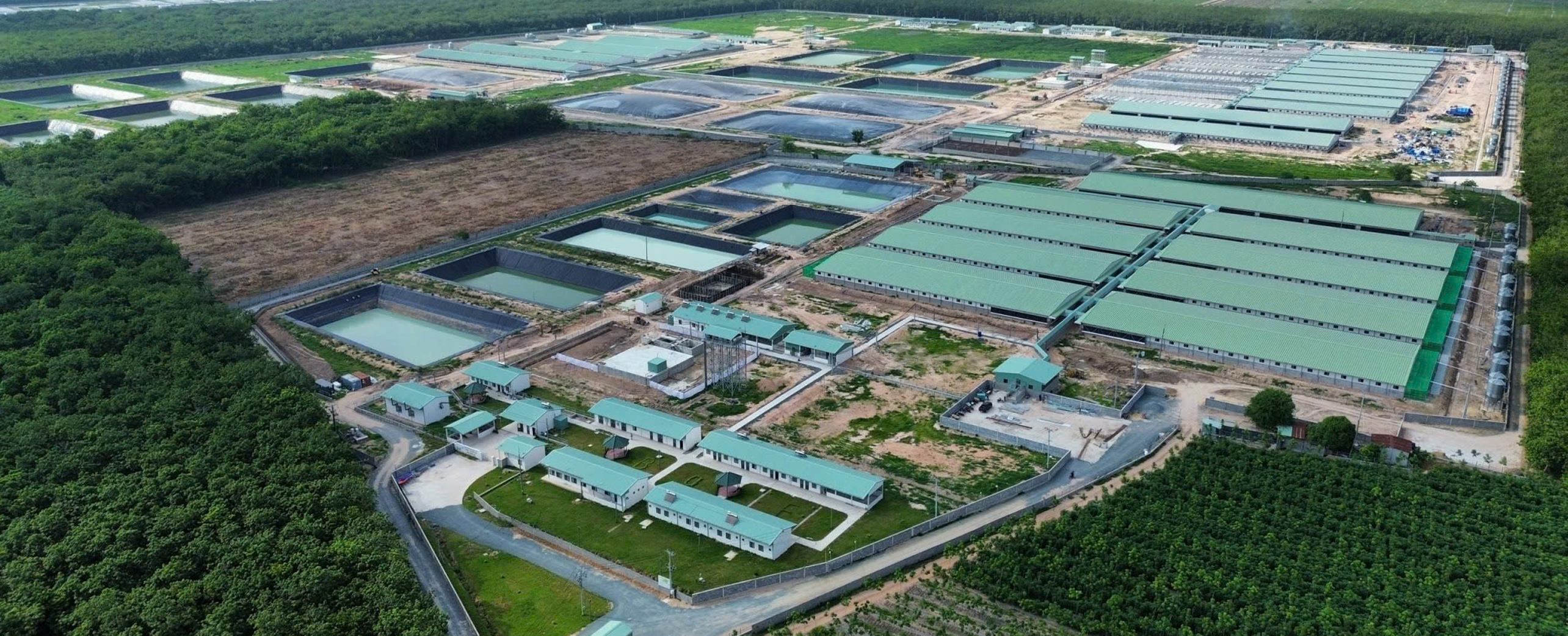 谭洲闭环冷藏猪场