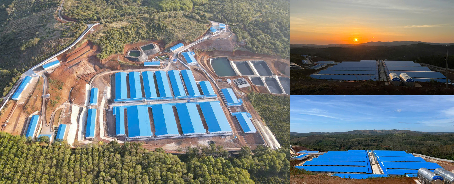 拥有2400头种母猪的养猪场 - 达农